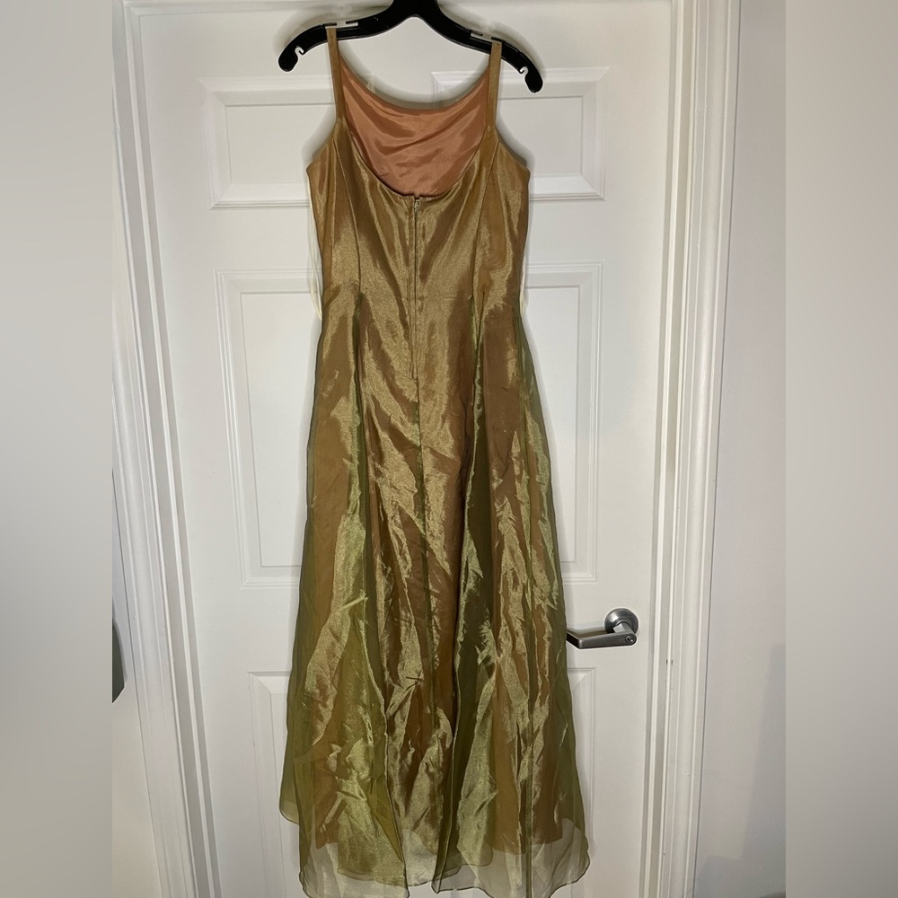 Vintage A-line dress. Comes with shawl, lined with green roses on the back. - Picture 2 of 7